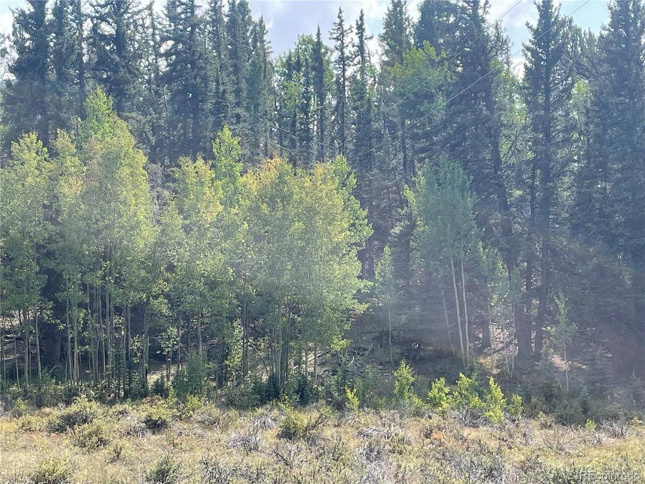 491 W Longbow, Como, CO 80432