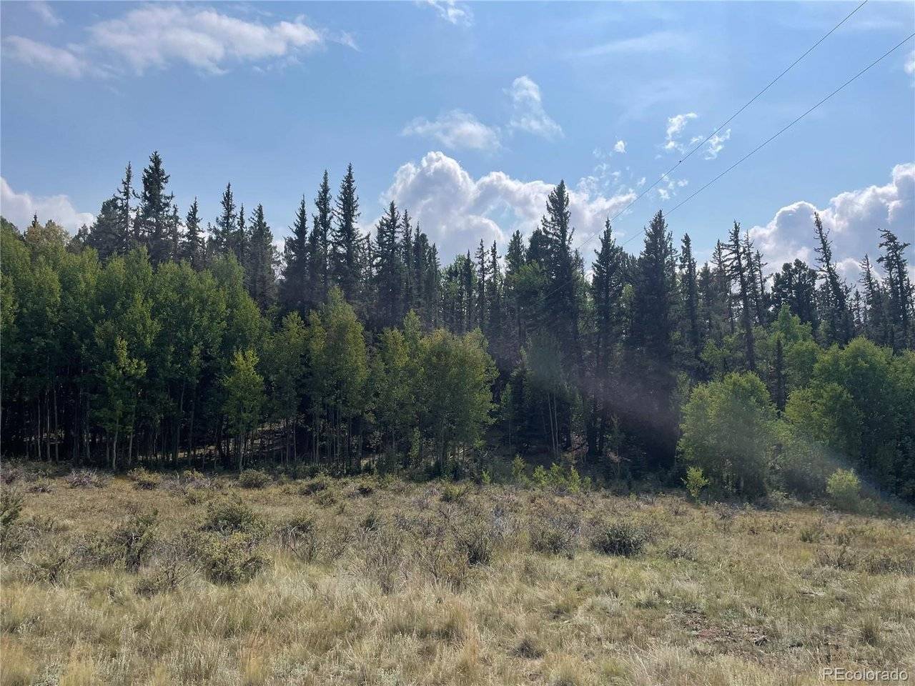 491 W Longbow, Como, CO 80432
