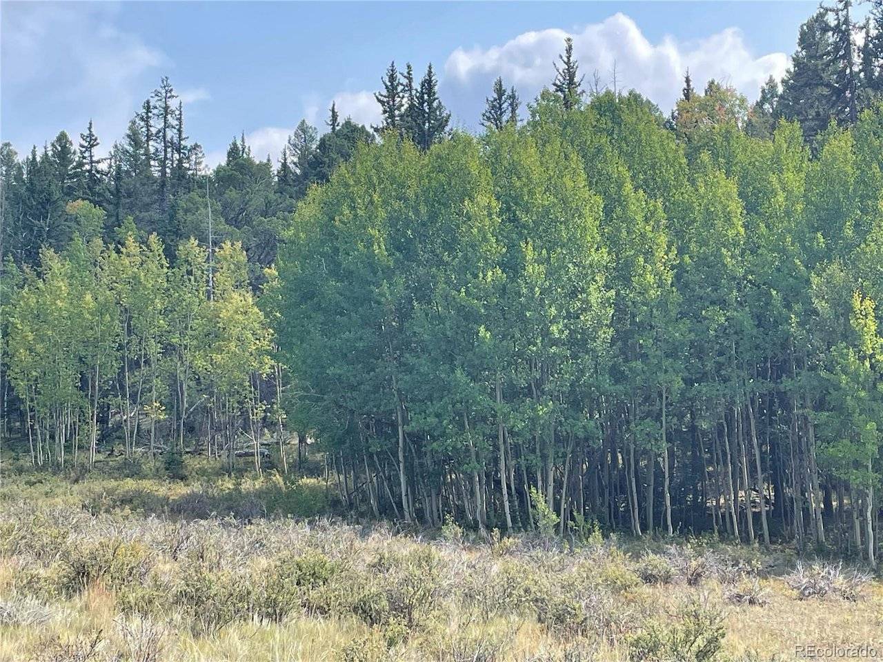 491 W Longbow, Como, CO 80432