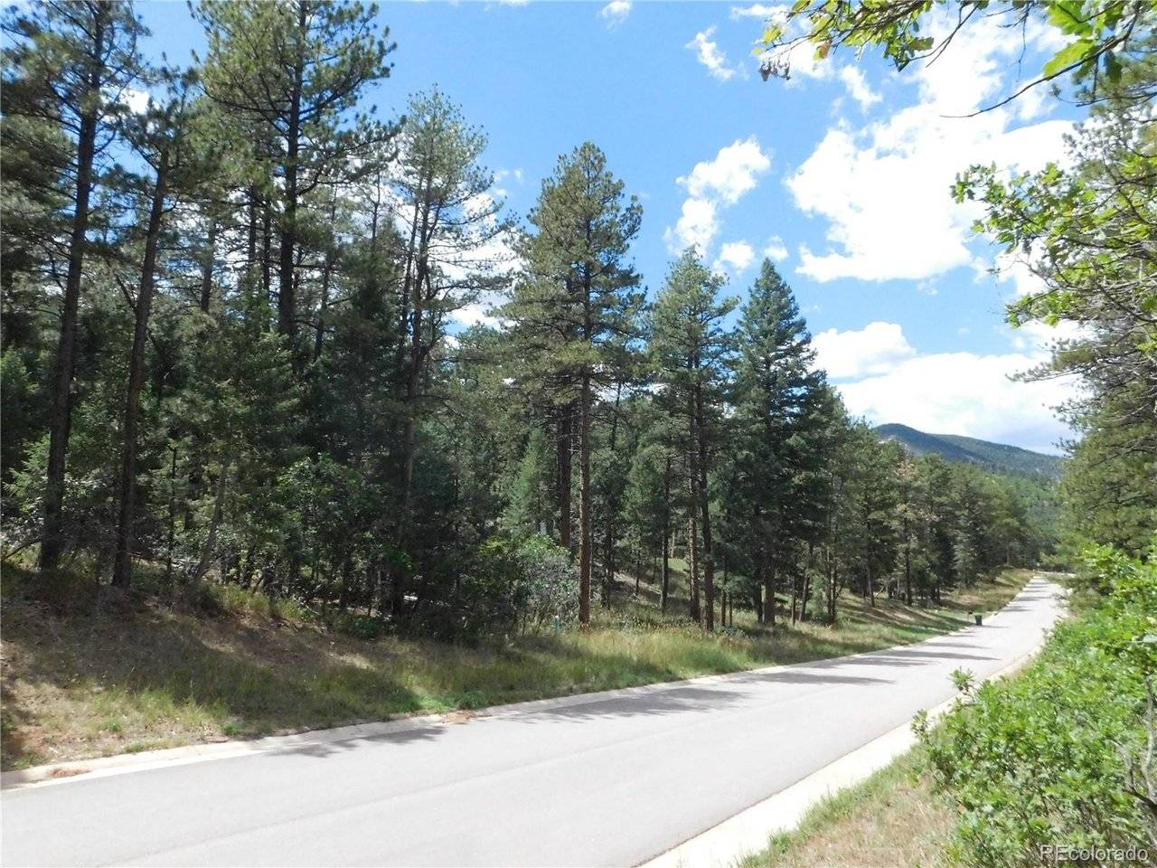 8139 Bannock, Larkspur, CO 80118