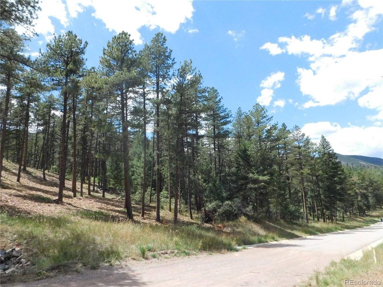 8139 Bannock, Larkspur, CO 80118