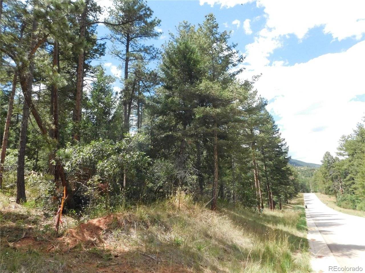 8139 Bannock, Larkspur, CO 80118