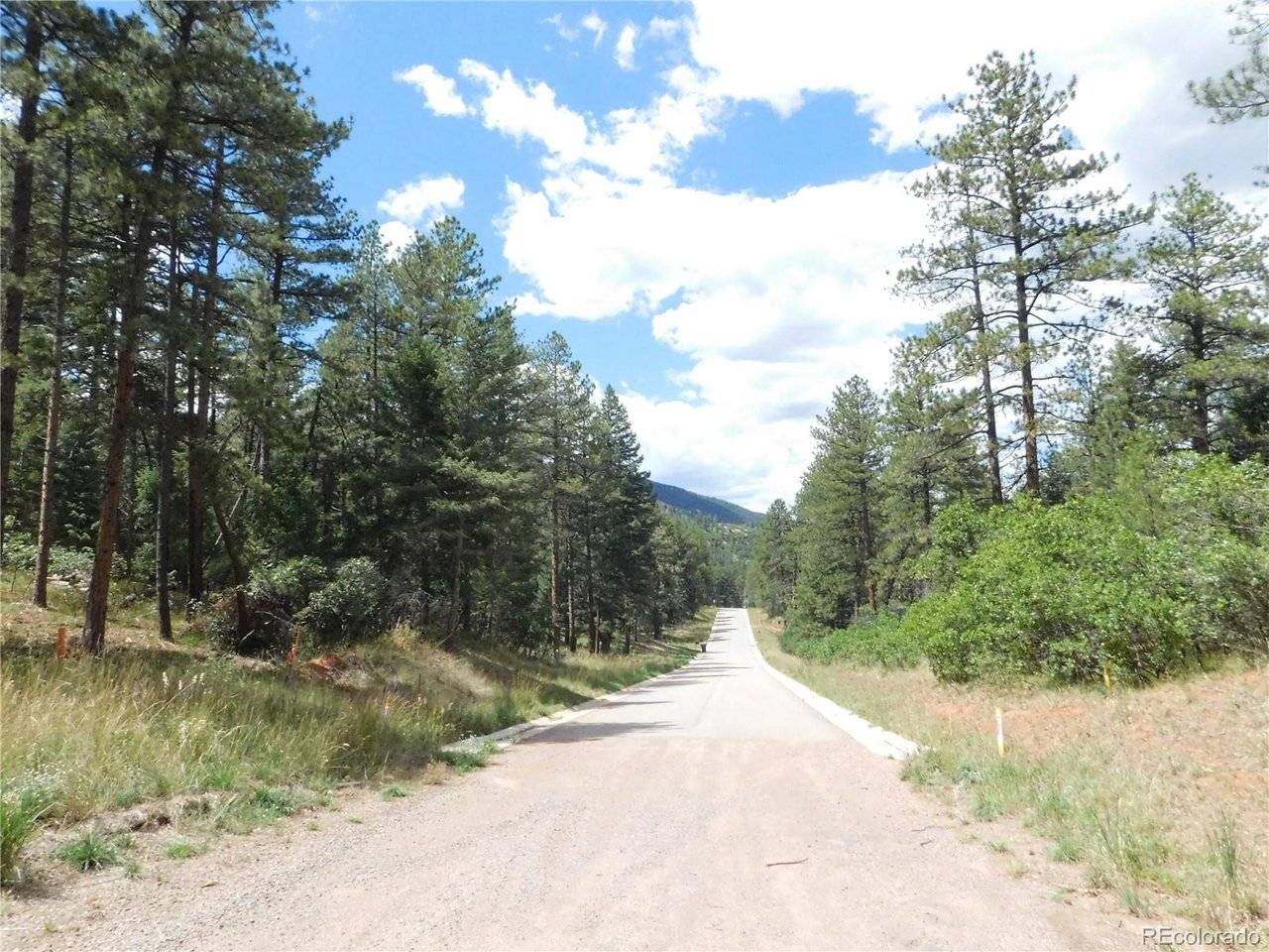 8139 Bannock, Larkspur, CO 80118