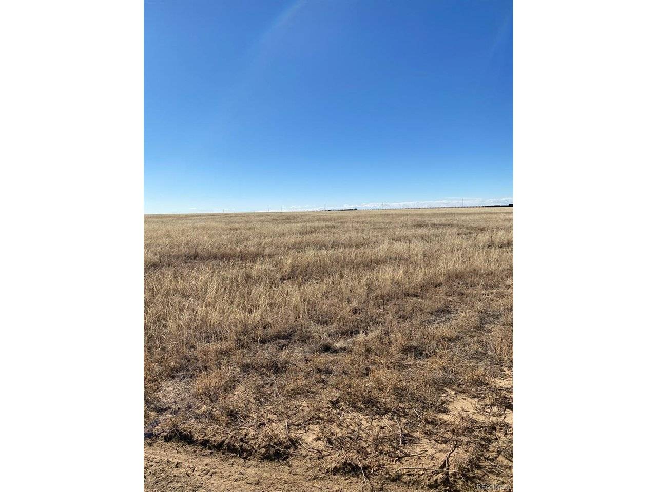 Rush, CO 80833