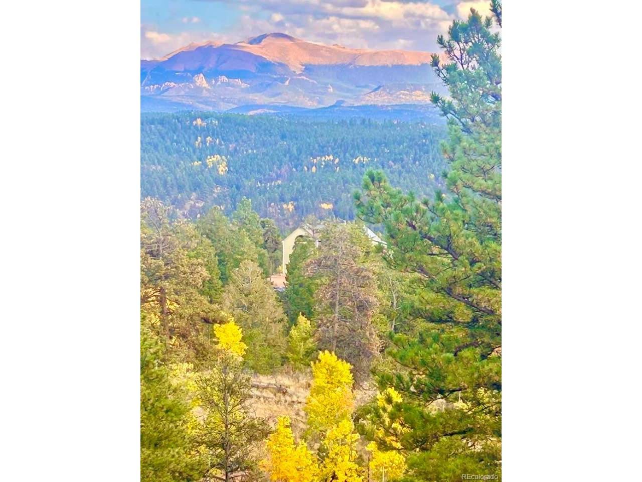 361 Crystal Peak, Florissant, CO 80816