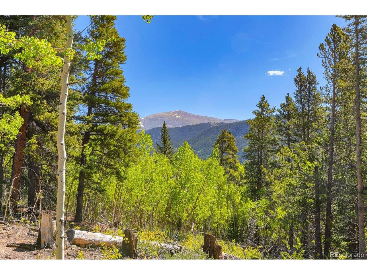 715 Lewsader, Alma, CO 80420