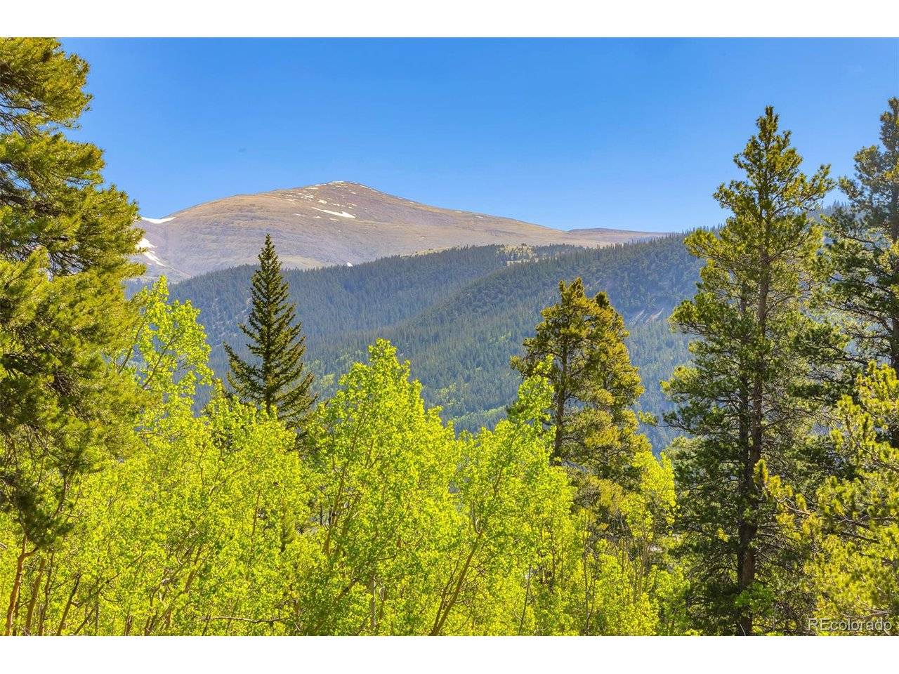 715 Lewsader, Alma, CO 80420