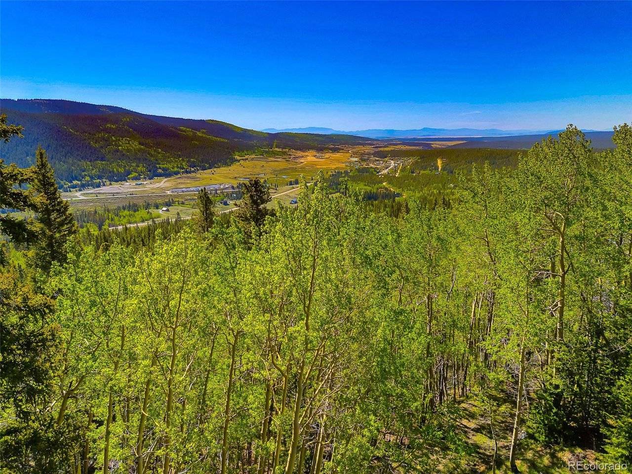 715 Lewsader, Alma, CO 80420