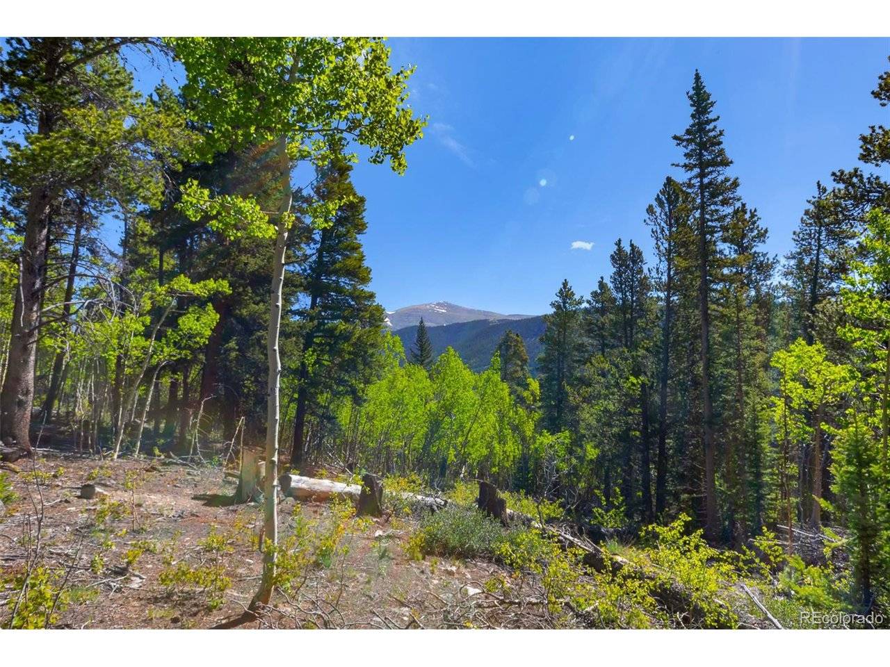 715 Lewsader, Alma, CO 80420