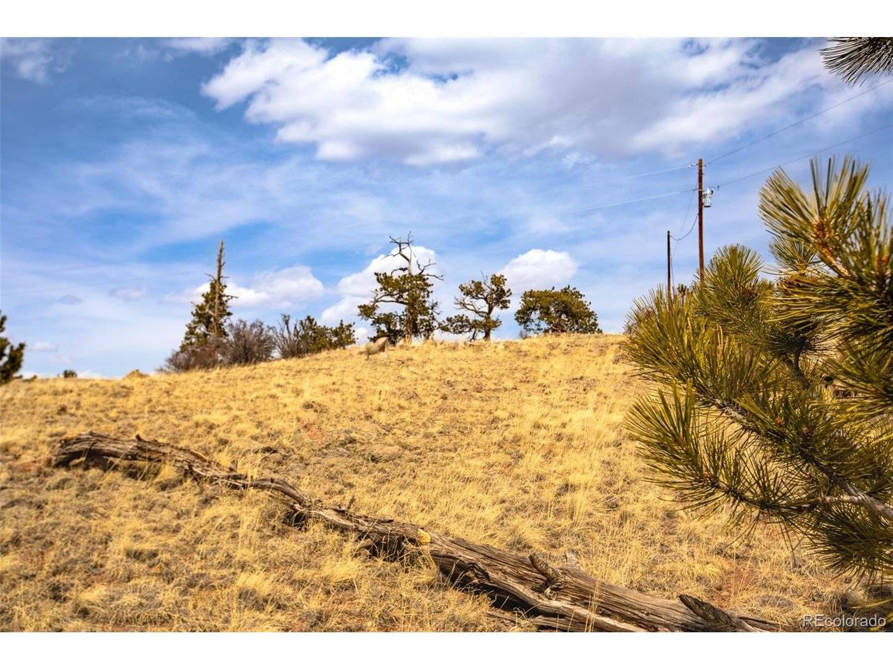 102 Pack Saddle, Hartsel, CO 80449