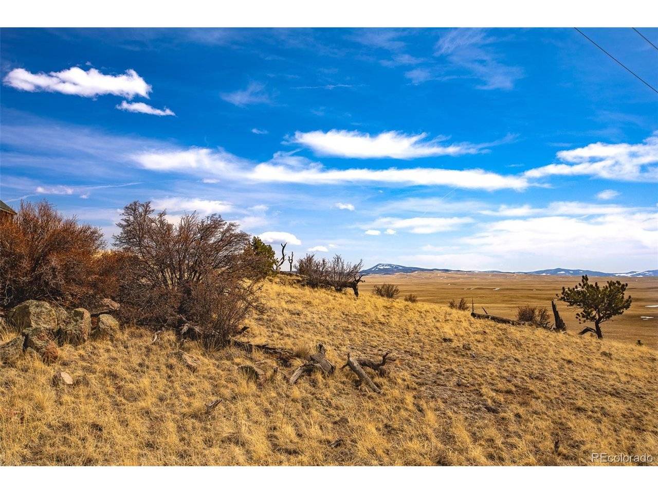 102 Pack Saddle, Hartsel, CO 80449