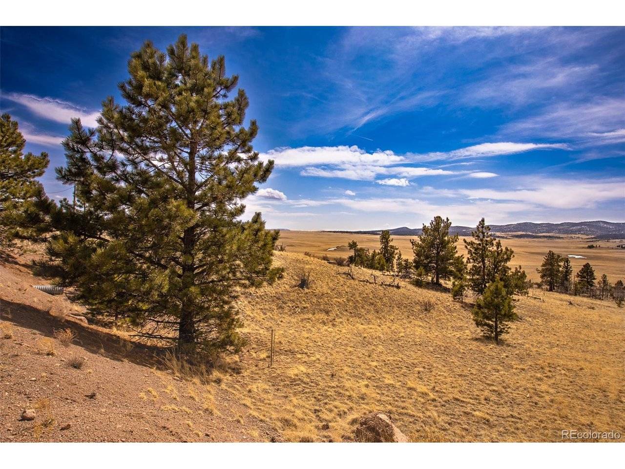 102 Pack Saddle, Hartsel, CO 80449