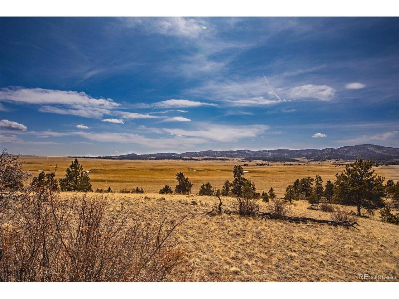 102 Pack Saddle, Hartsel, CO 80449