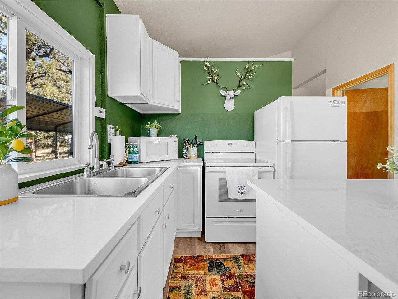 10 Bartimous, Bailey, CO 80421