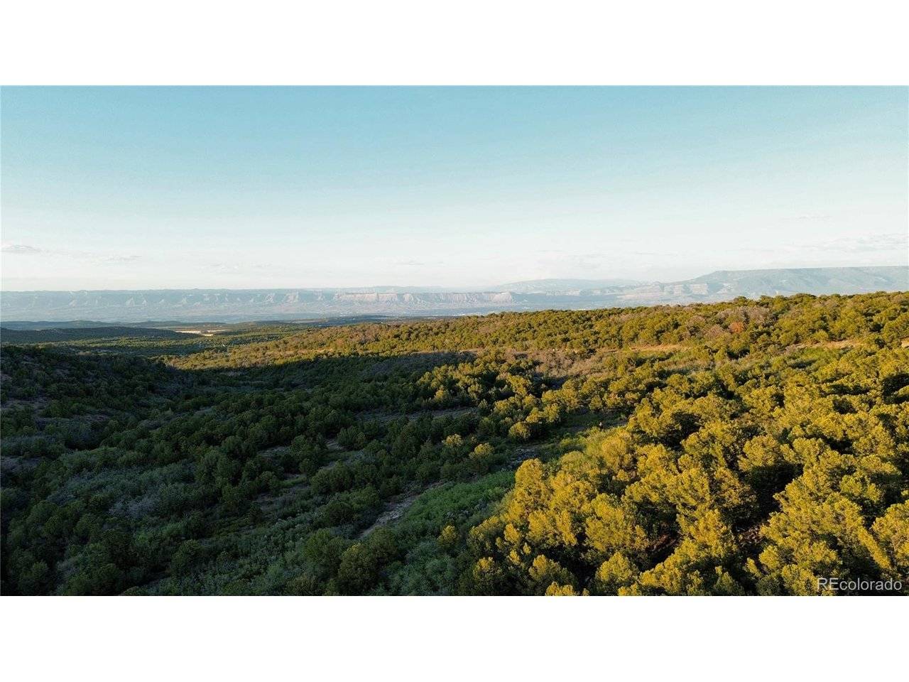 18975 Elk Reserve, Glade Park, CO 81523