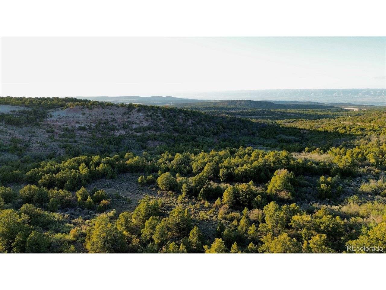 18975 Elk Reserve, Glade Park, CO 81523