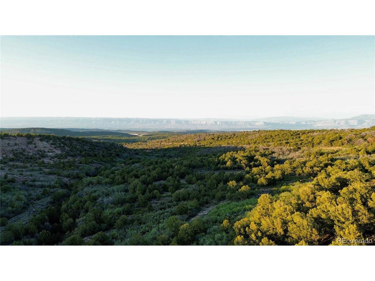 18975 Elk Reserve, Glade Park, CO 81523