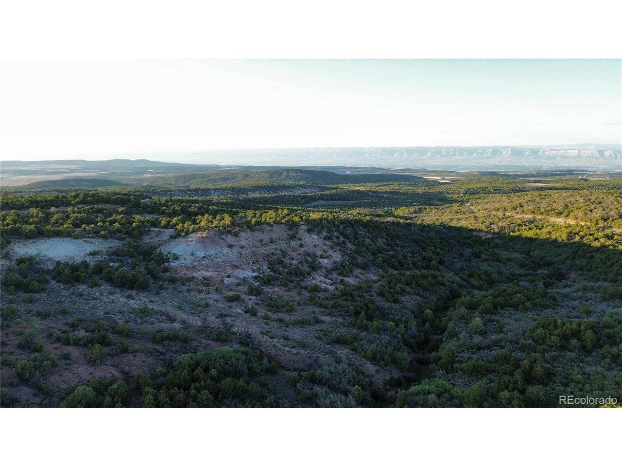 18975 Elk Reserve, Glade Park, CO 81523
