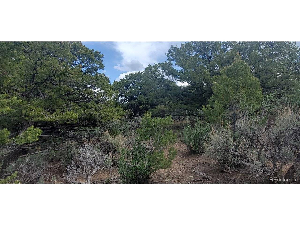7853 Malott, Fort Garland, CO 81133