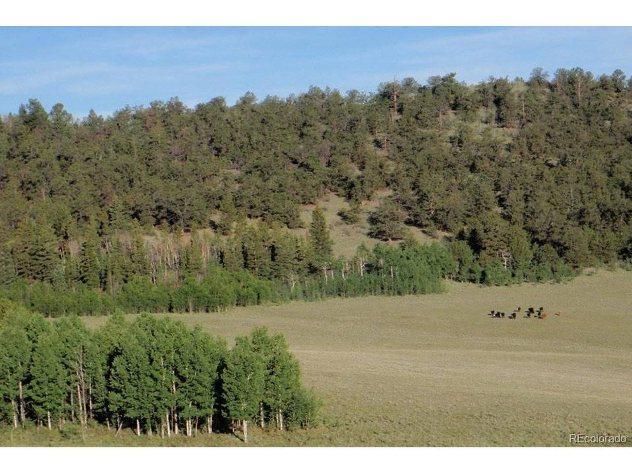 1185 County Road 734, Fairplay, CO 80440