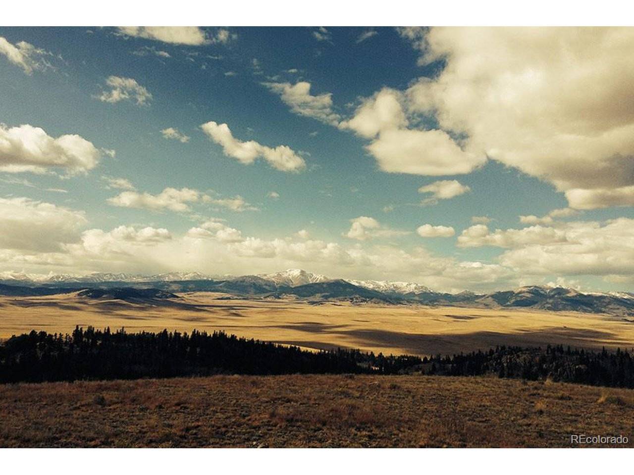 1185 County Road 734, Fairplay, CO 80440
