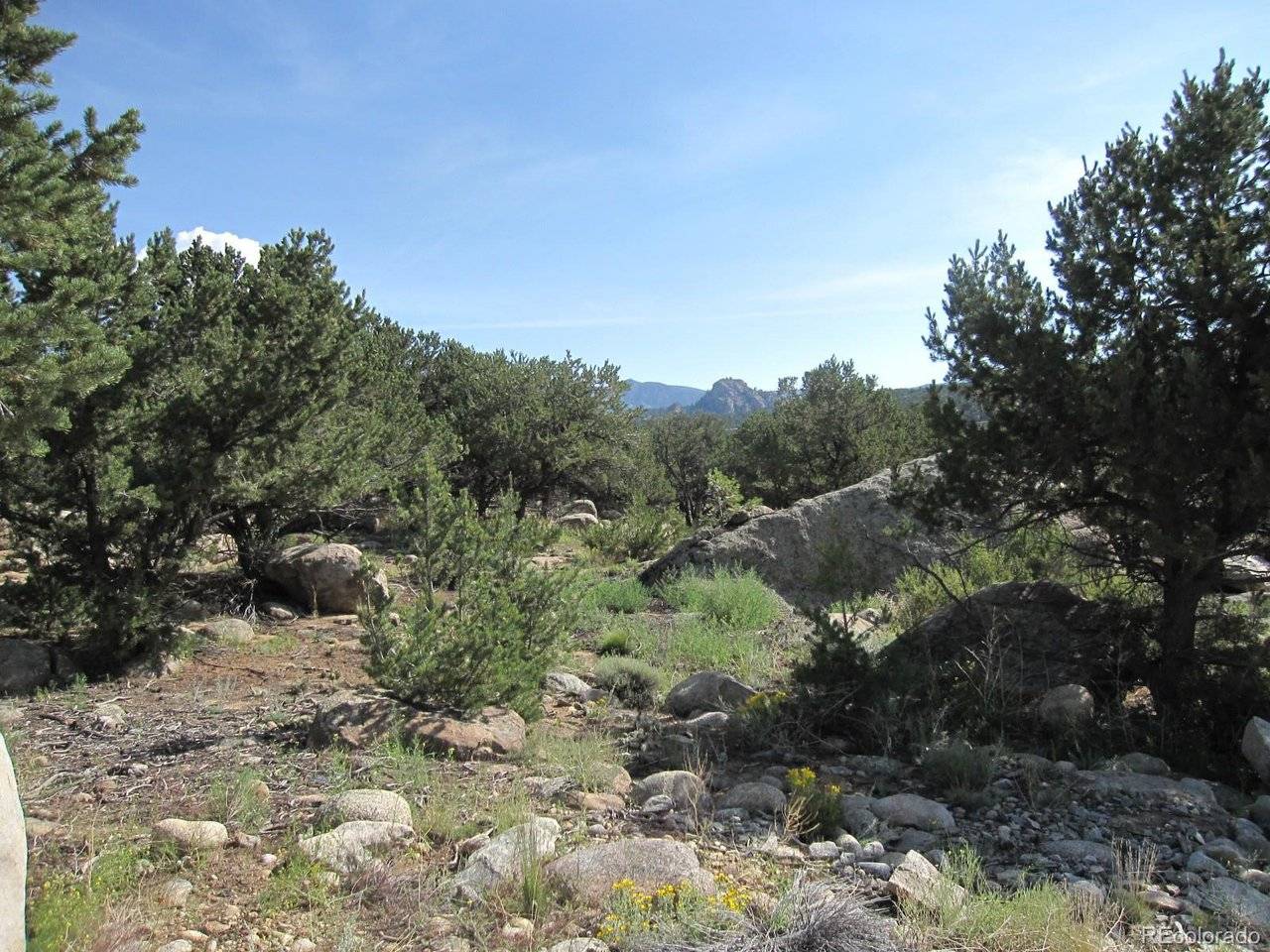 30036 Teal, Buena Vista, CO 81211