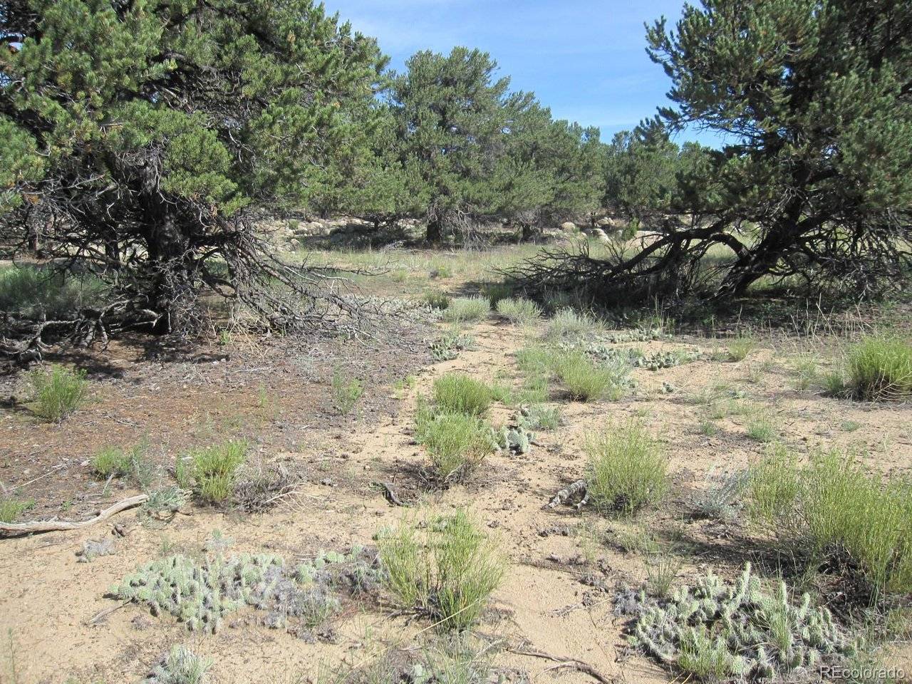 30036 Teal, Buena Vista, CO 81211