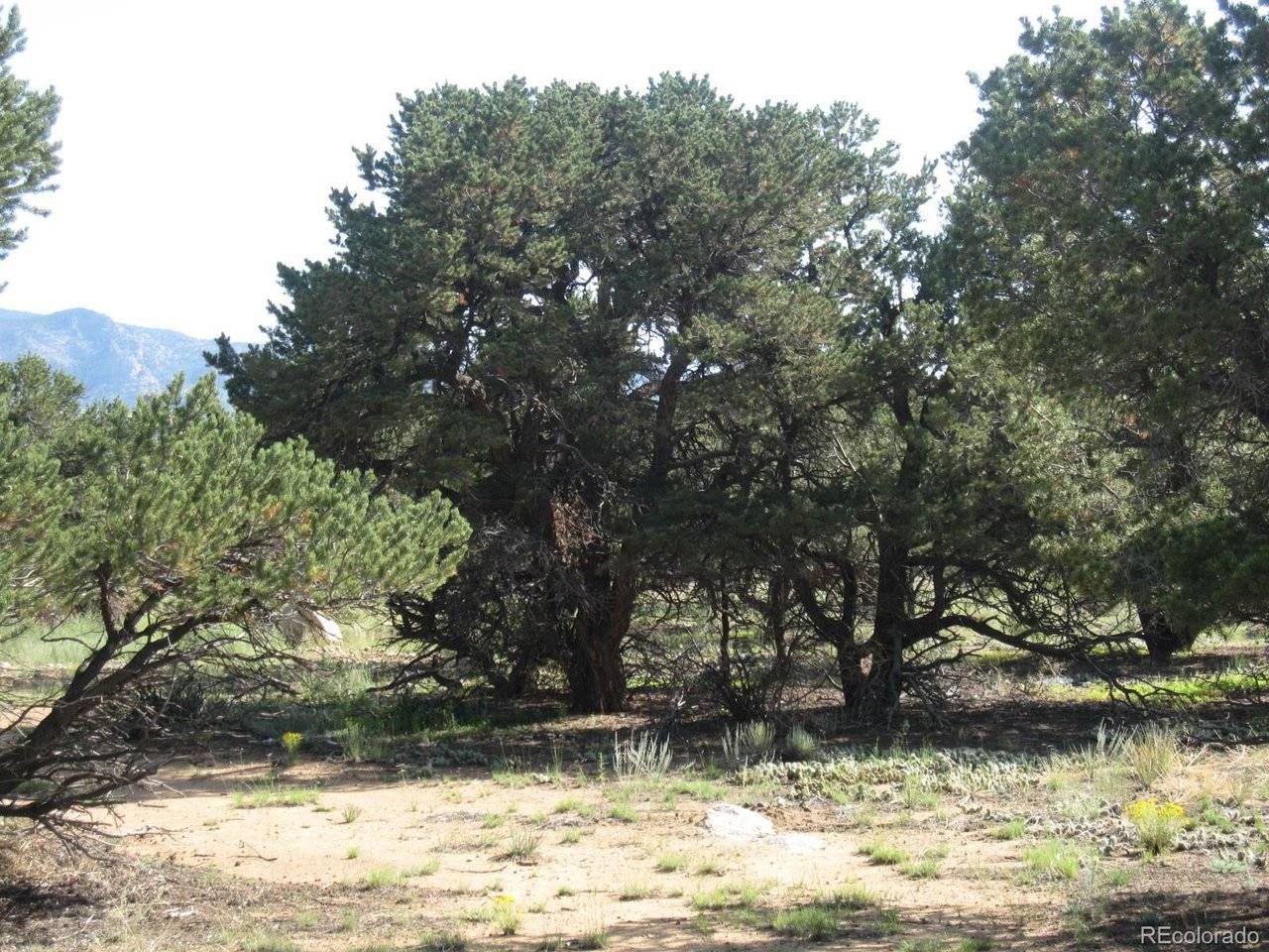 30036 Teal, Buena Vista, CO 81211
