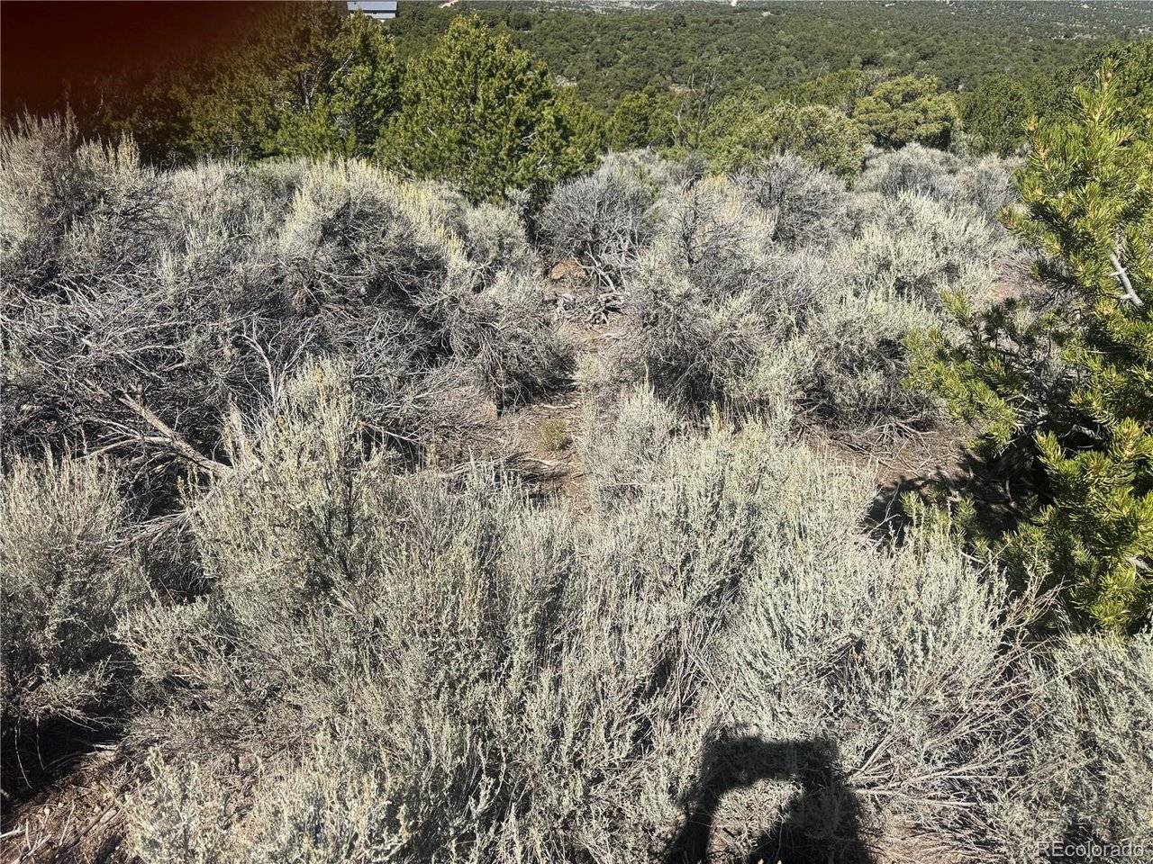 7876 Stone, Fort Garland, CO 81133