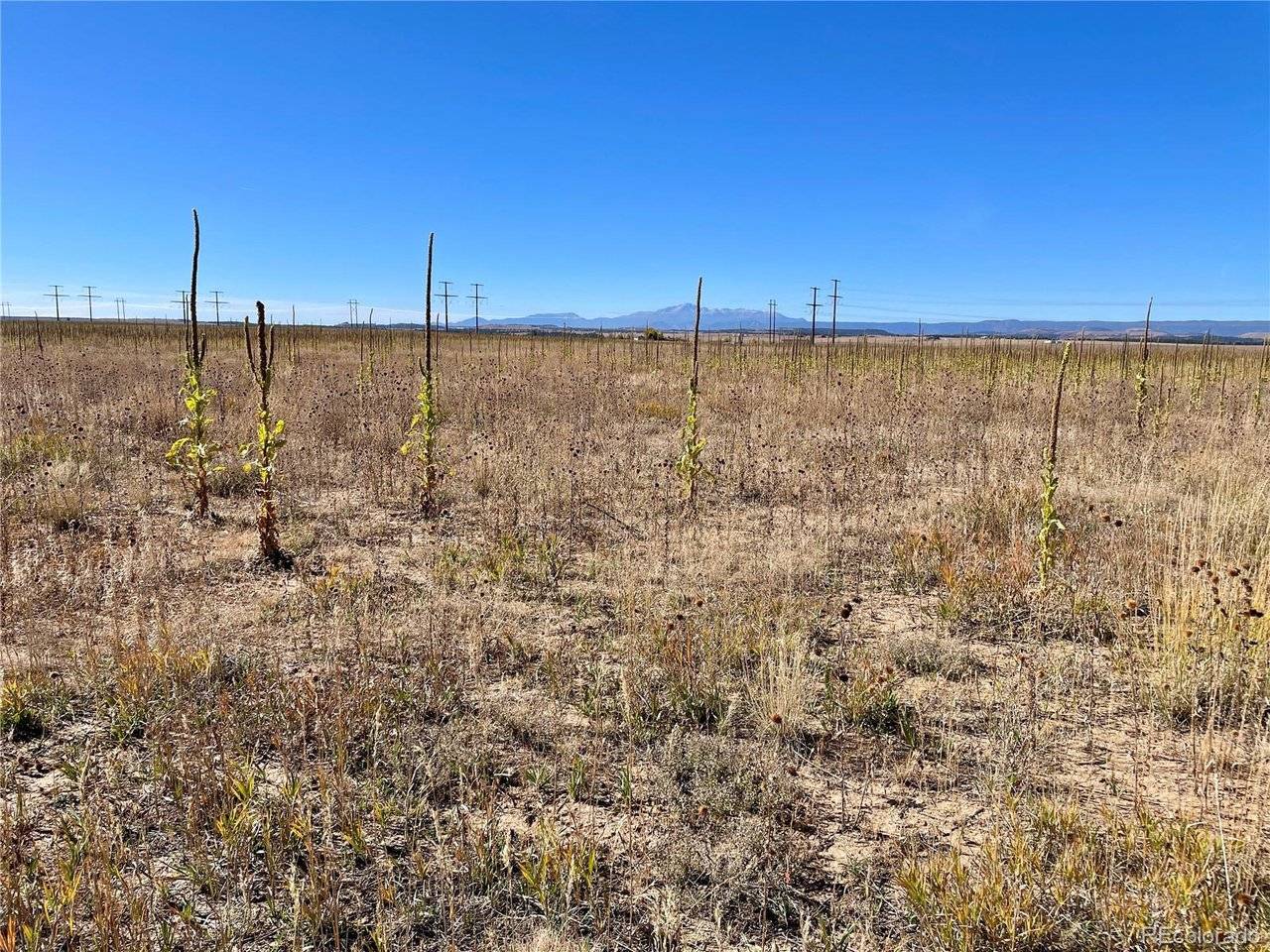 3 County Road 98, Elbert, CO 80106