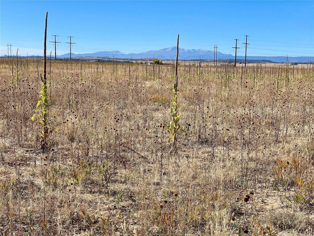 3 County Road 98, Elbert, CO 80106