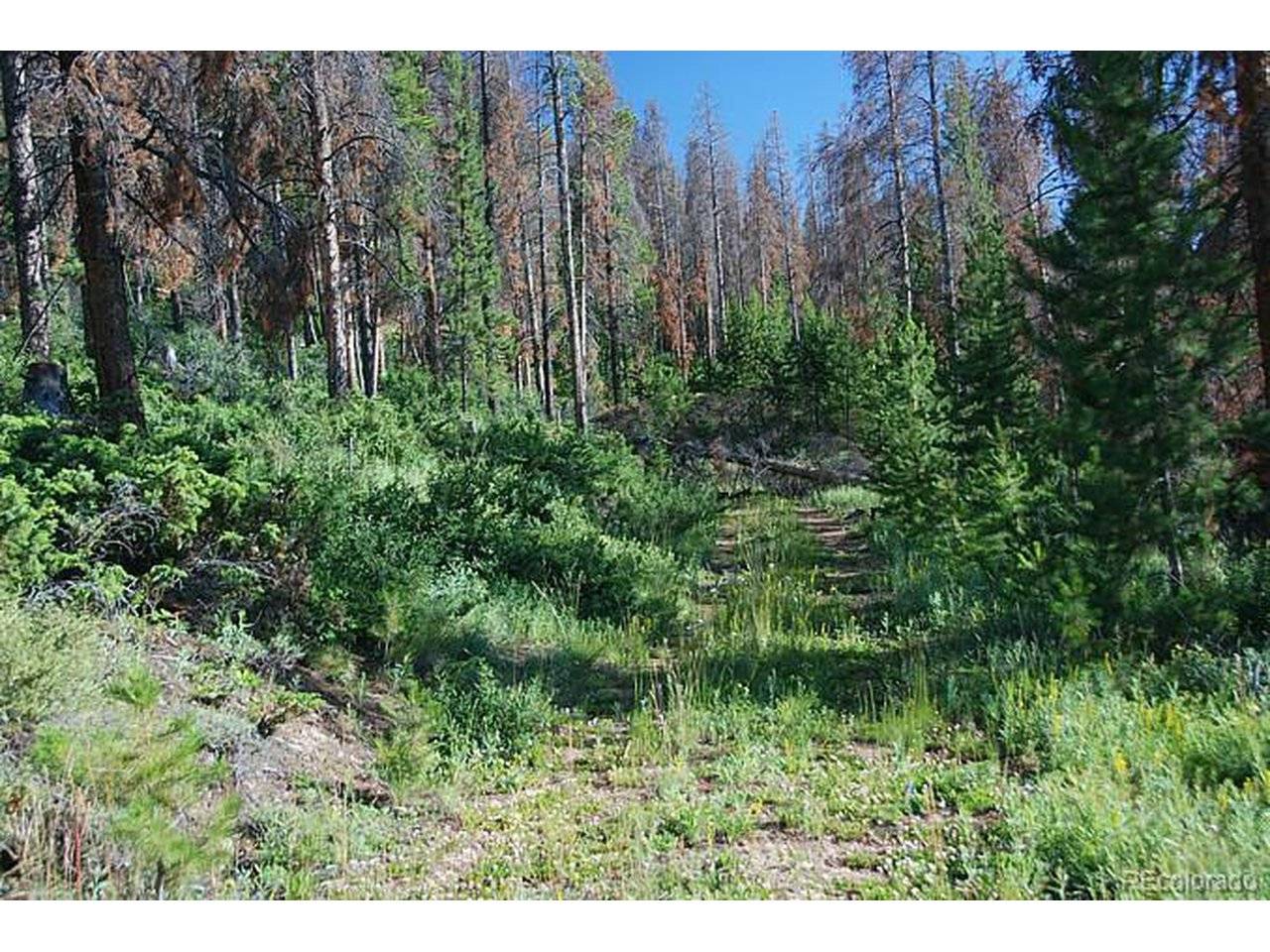 58 GCR 6325, Granby, CO 80446
