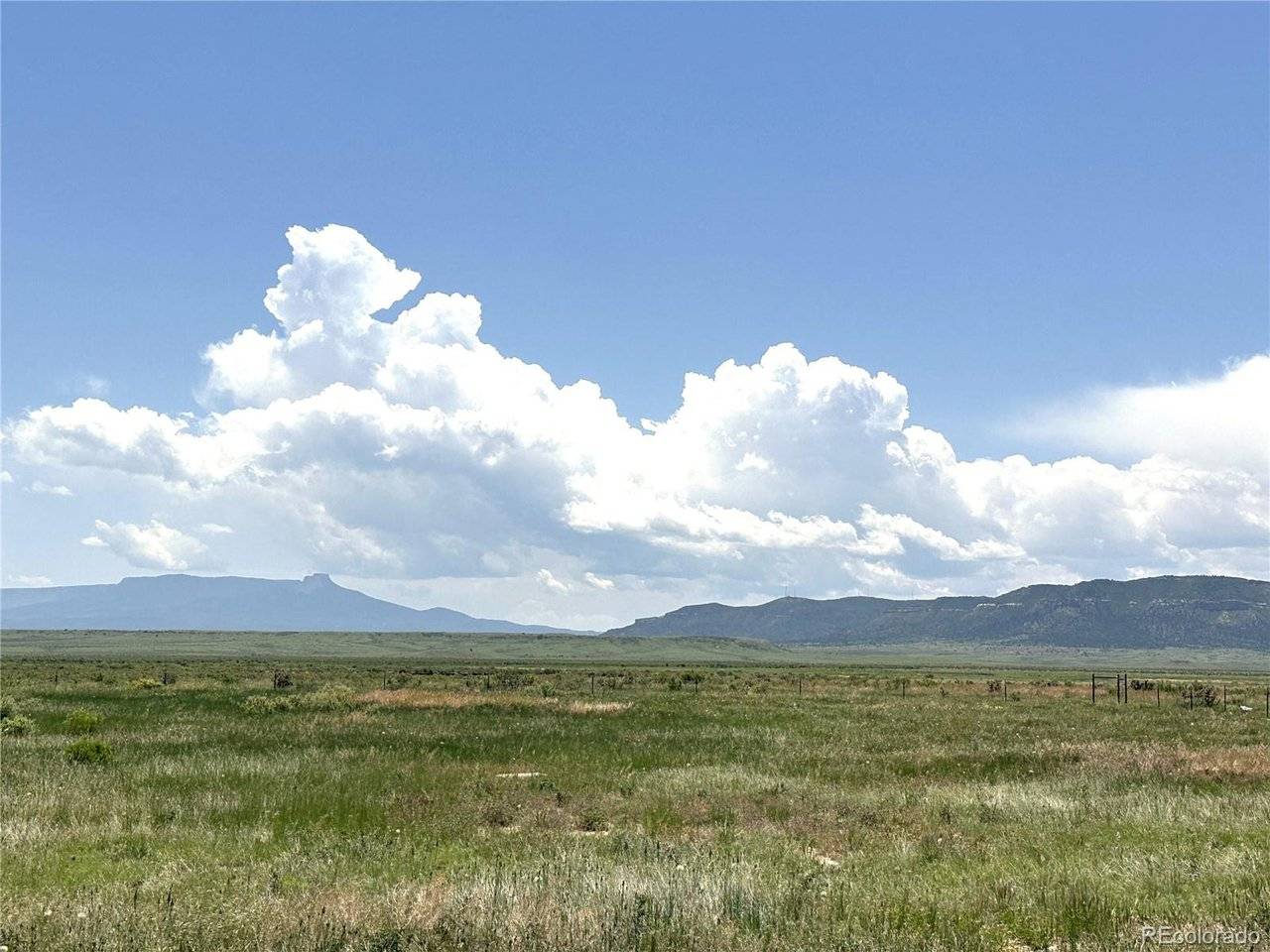 22960 Black Hills, Trinidad, CO 81082