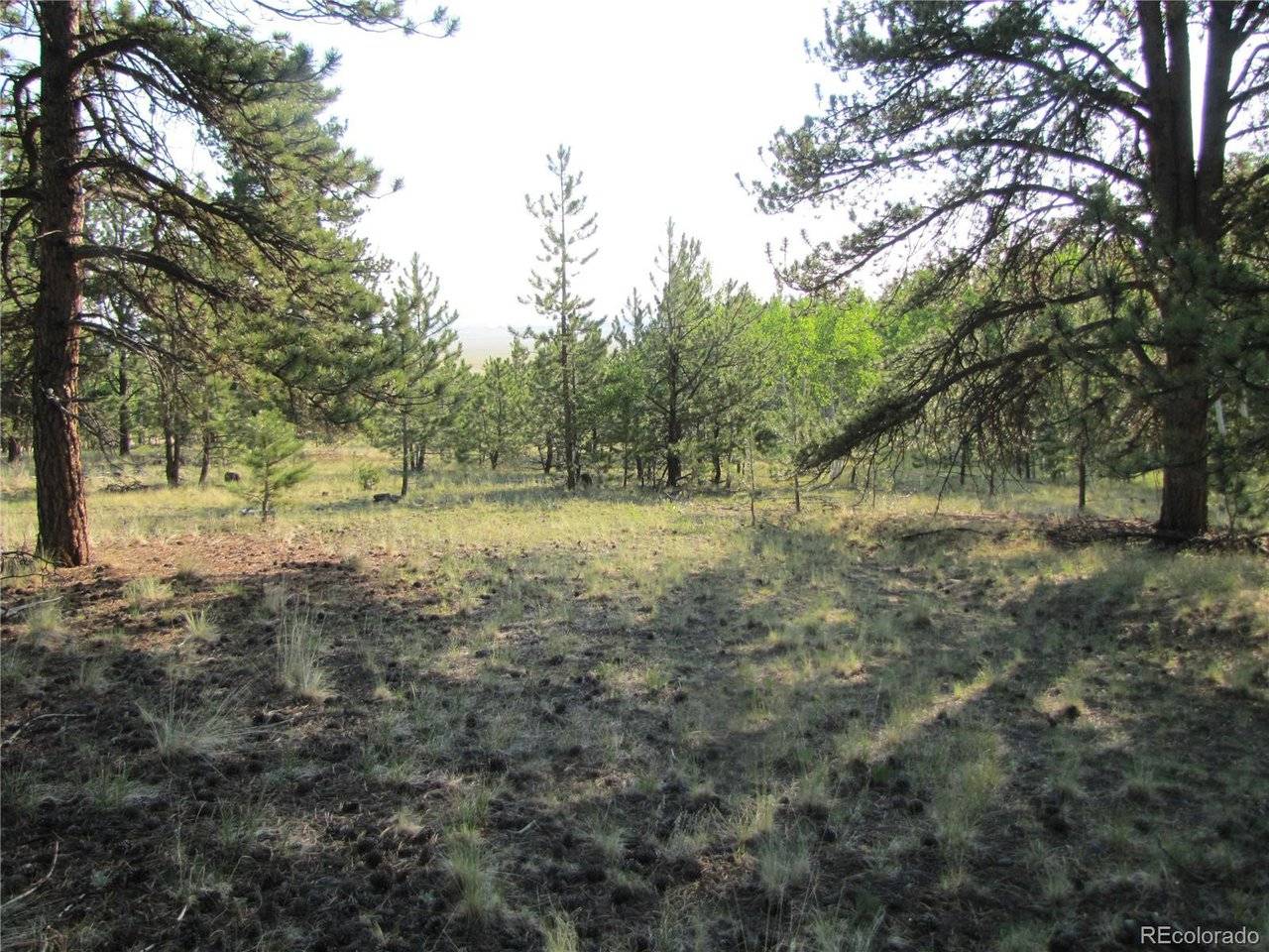 9736 Ranch, Hartsel, CO 80449