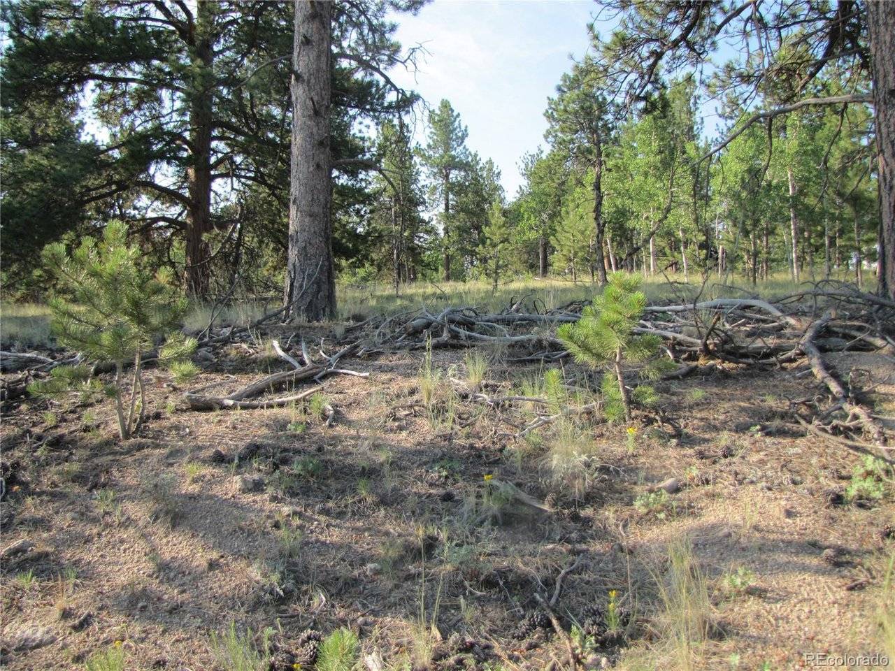 9736 Ranch, Hartsel, CO 80449