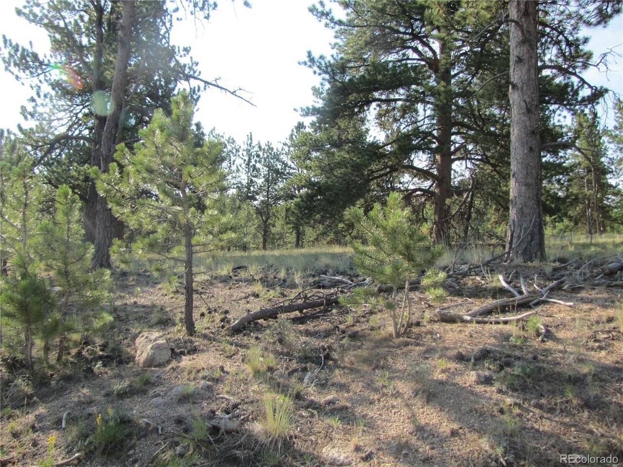 9736 Ranch, Hartsel, CO 80449
