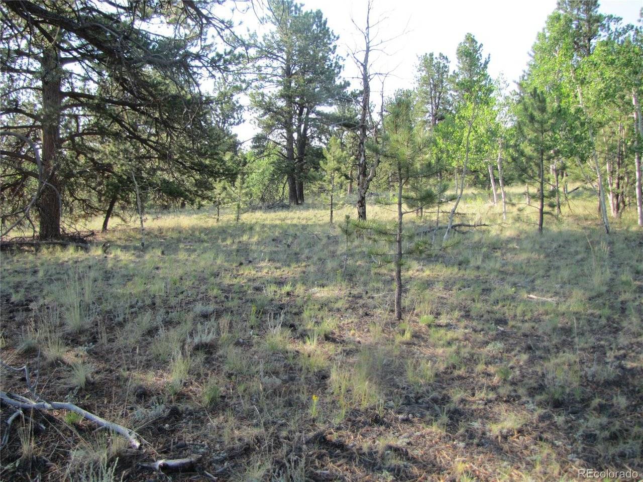 9736 Ranch, Hartsel, CO 80449