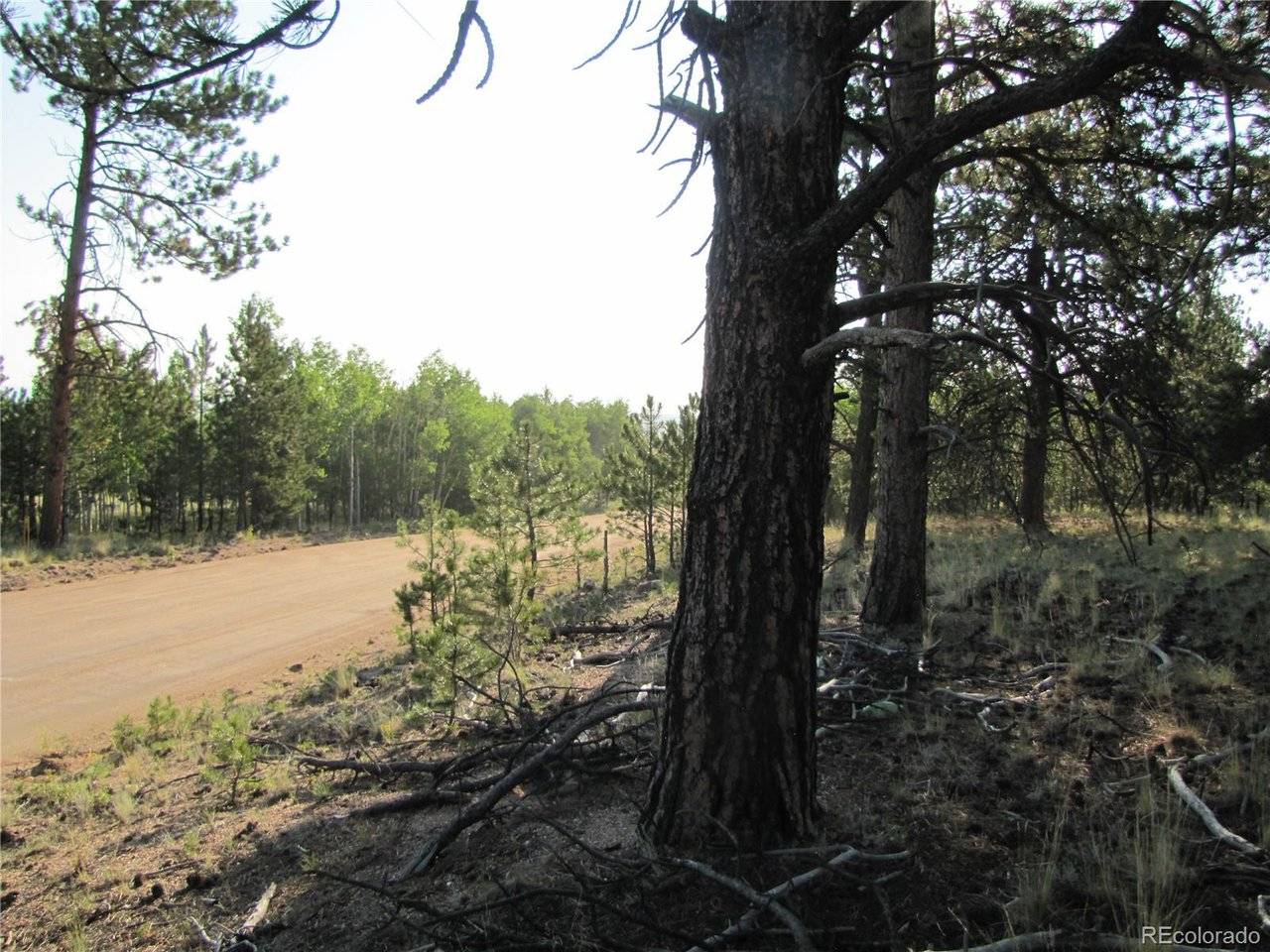 9736 Ranch, Hartsel, CO 80449