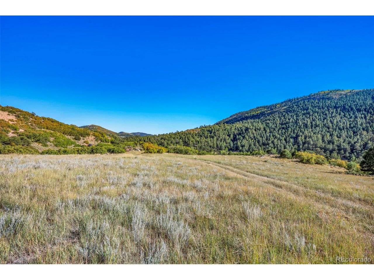92 Bear Trax, Canon City, CO 81212