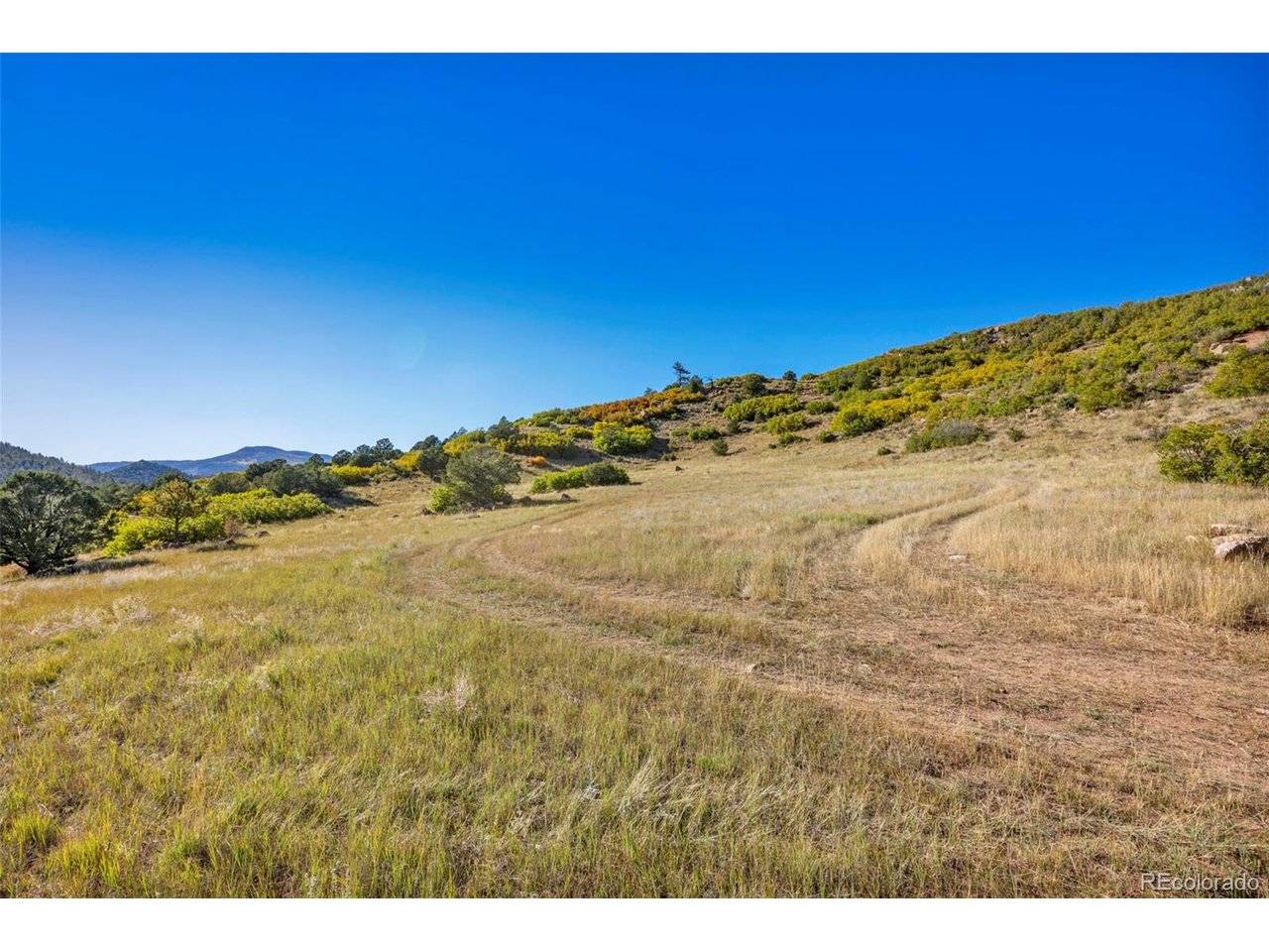 92 Bear Trax, Canon City, CO 81212