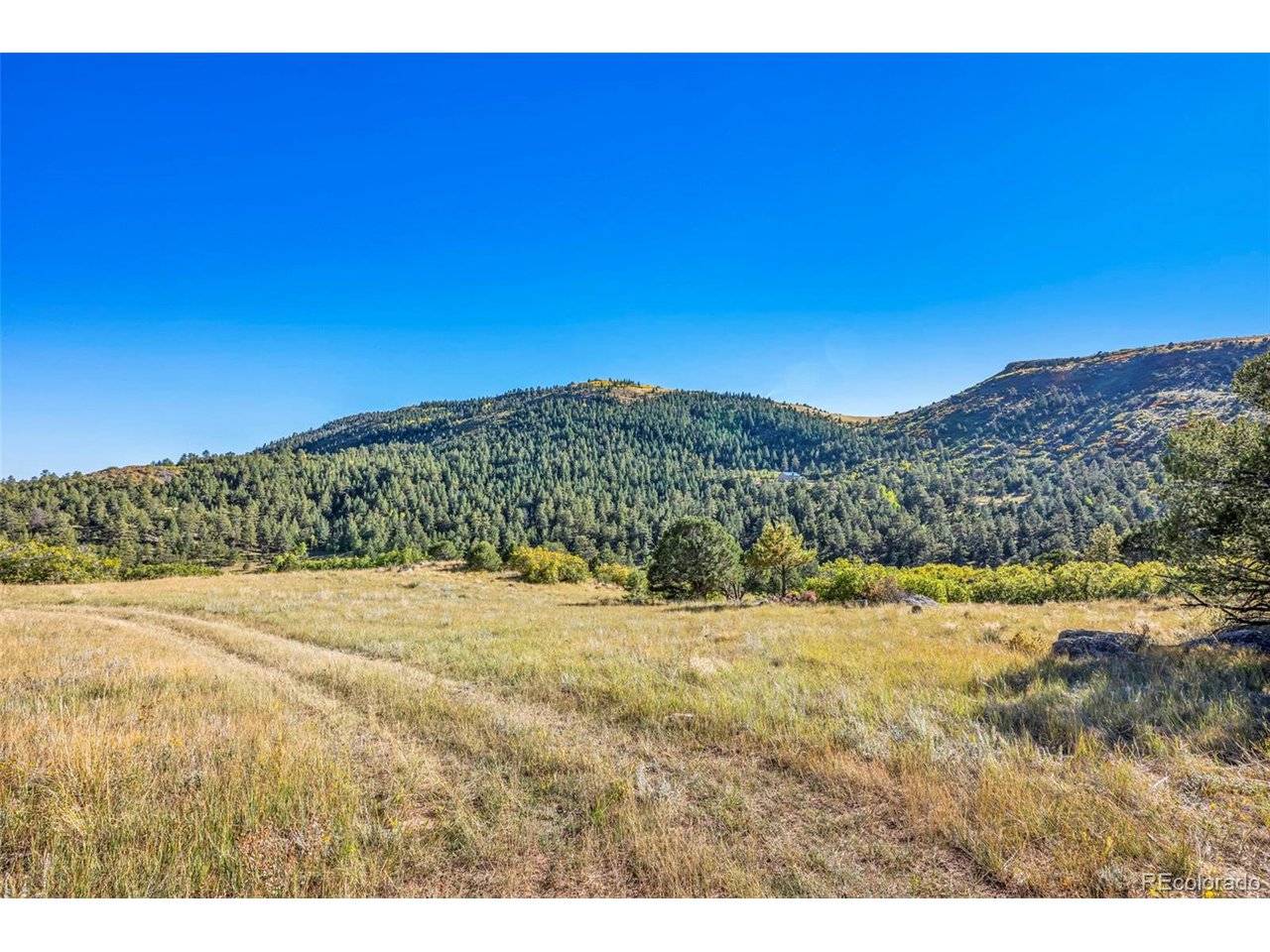 92 Bear Trax, Canon City, CO 81212