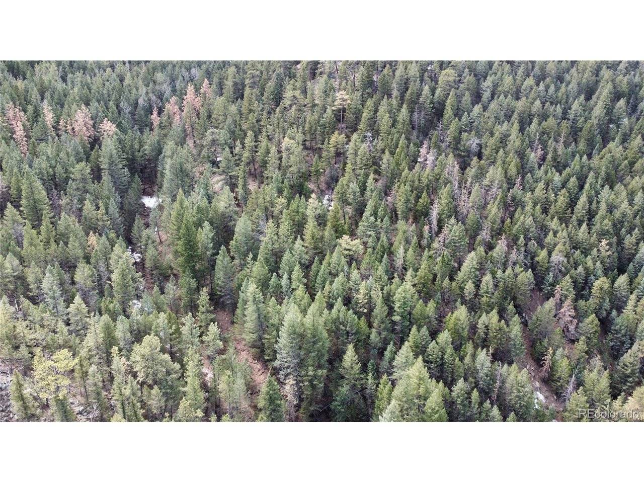 7893 Fourmile Canyon, Boulder, CO 80302