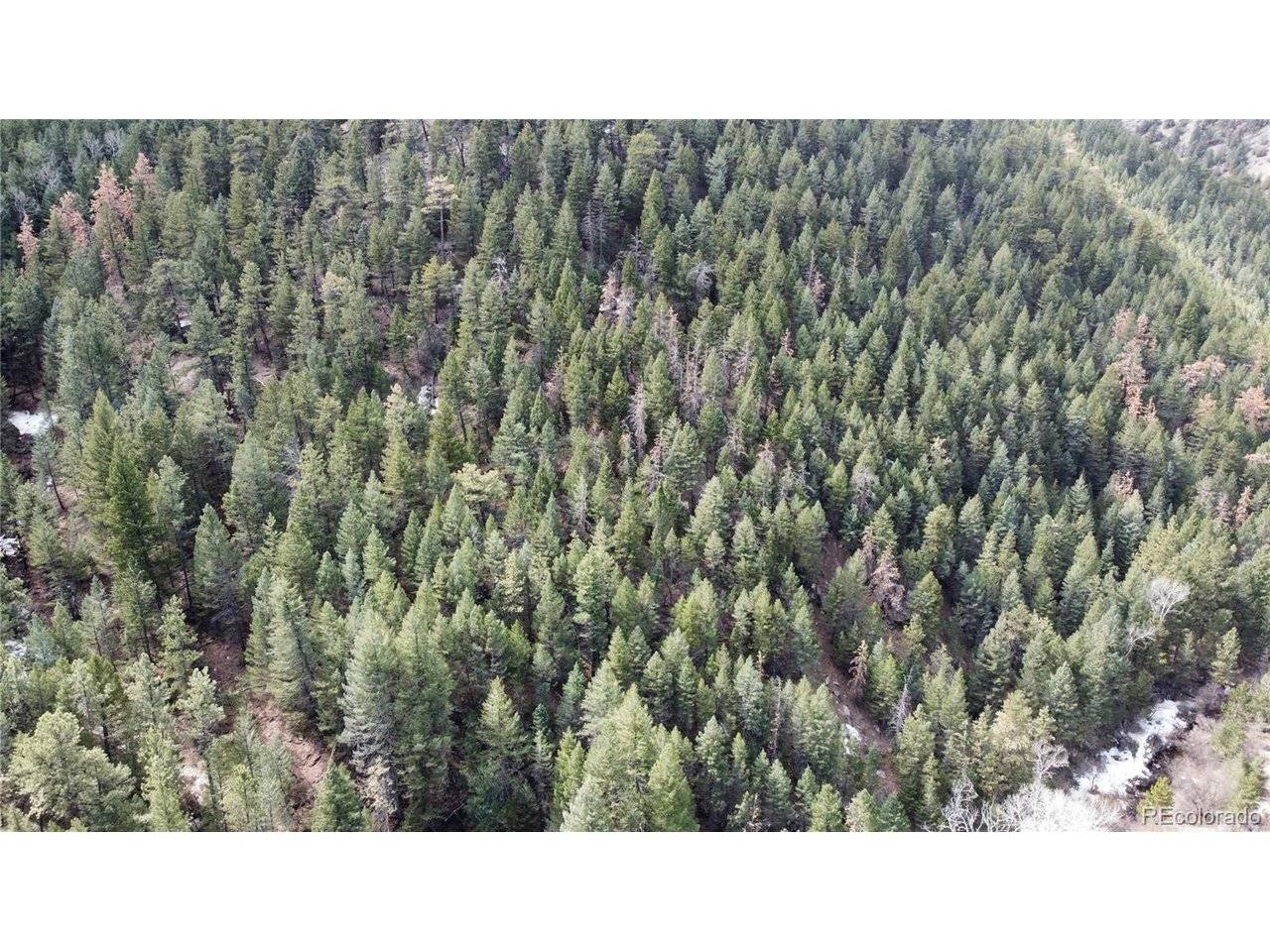 7893 Fourmile Canyon, Boulder, CO 80302
