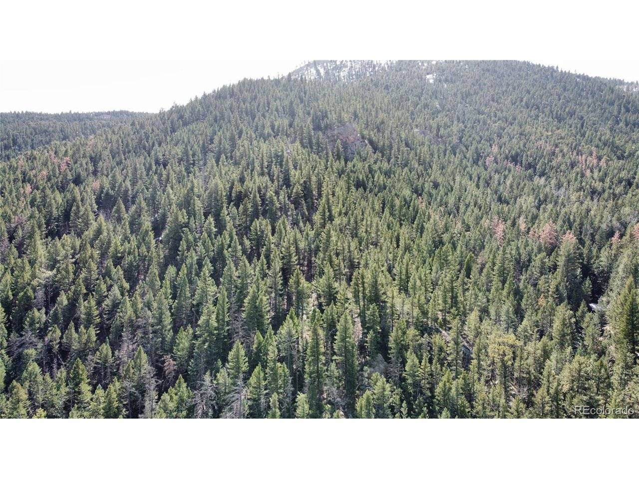 7893 Fourmile Canyon, Boulder, CO 80302
