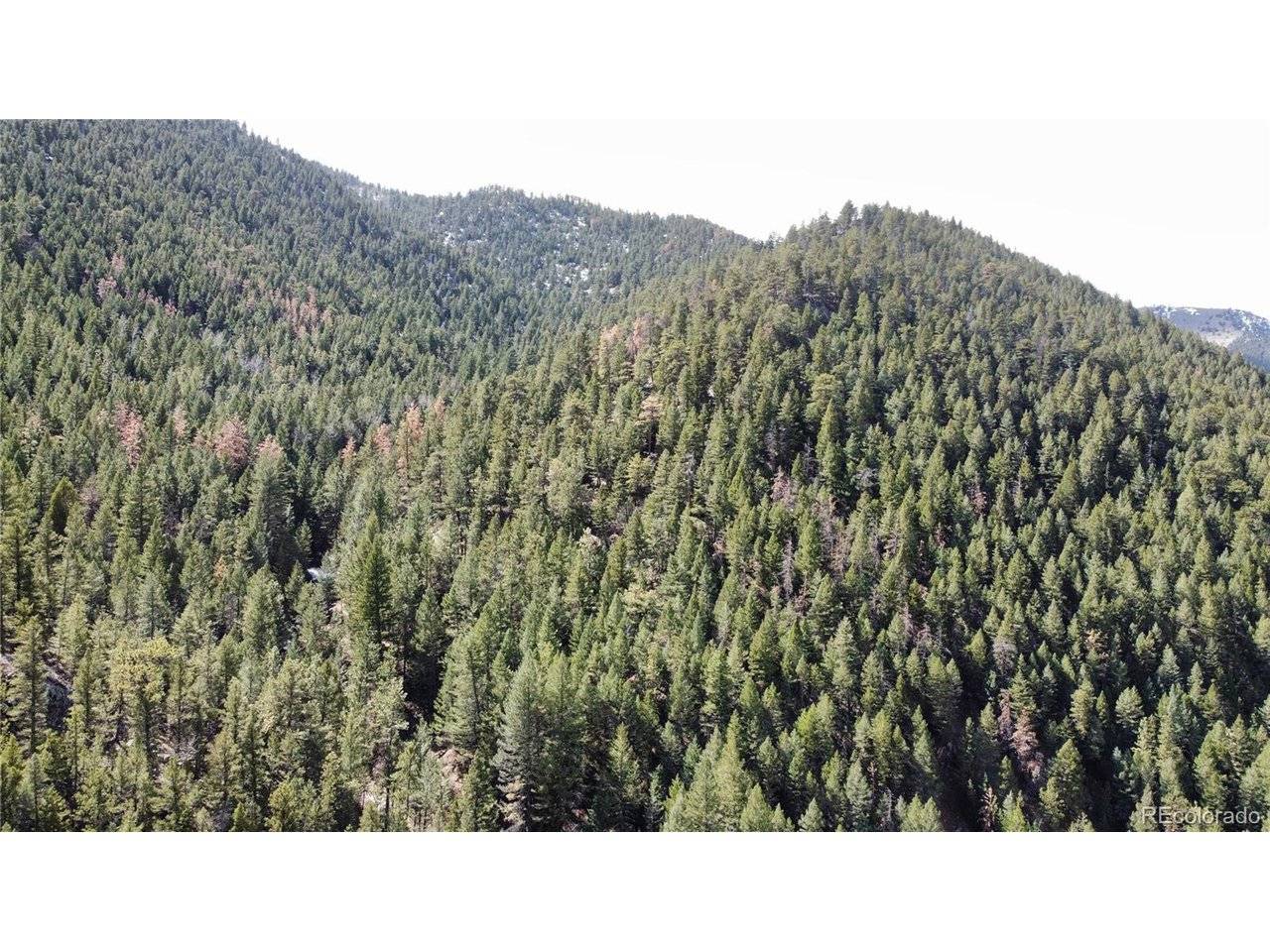 7893 Fourmile Canyon, Boulder, CO 80302