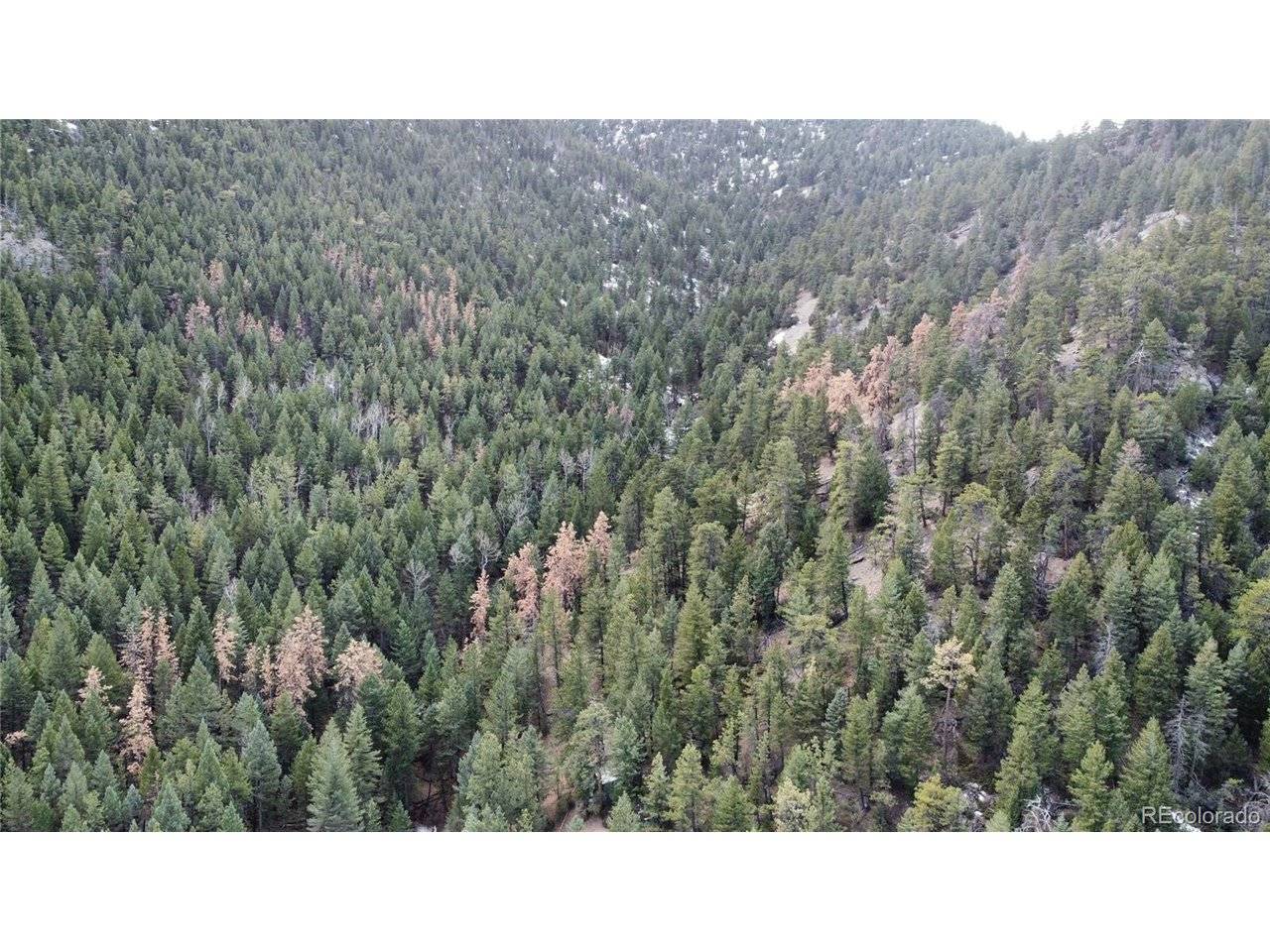 7893 Fourmile Canyon, Boulder, CO 80302