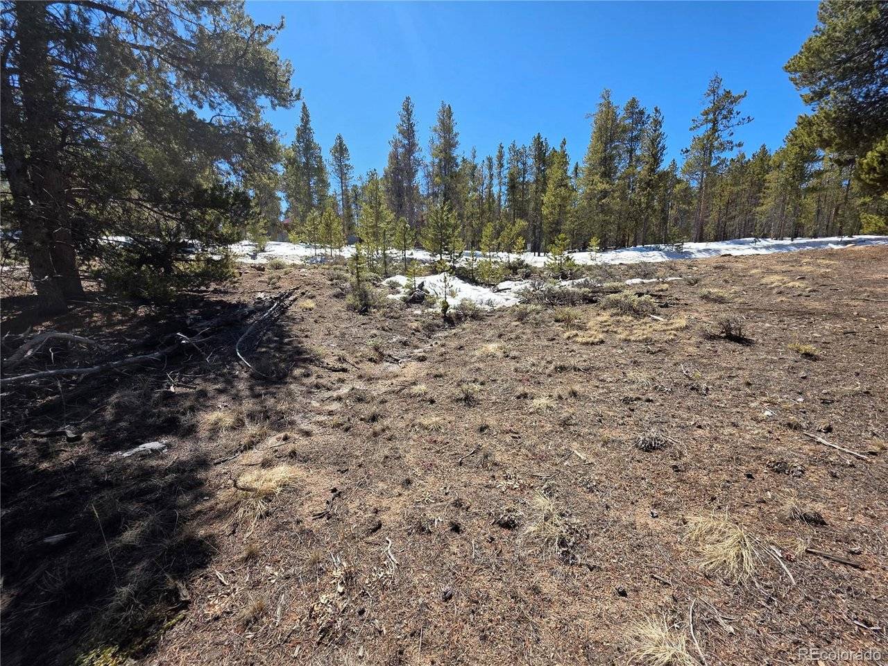 Lots 20 & 29, Twin Lakes, CO 81251