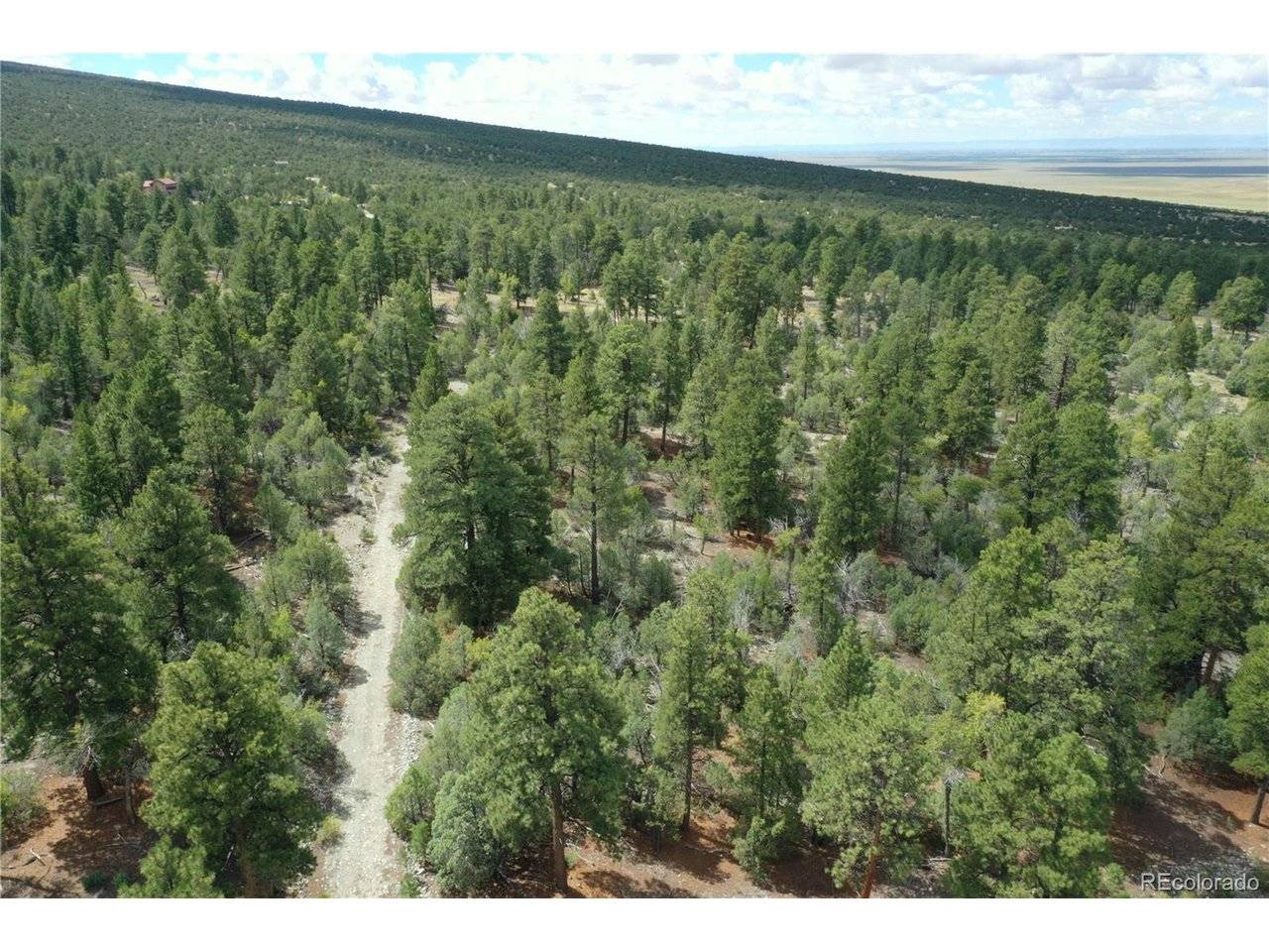 Big Bear, Mosca, CO 81146