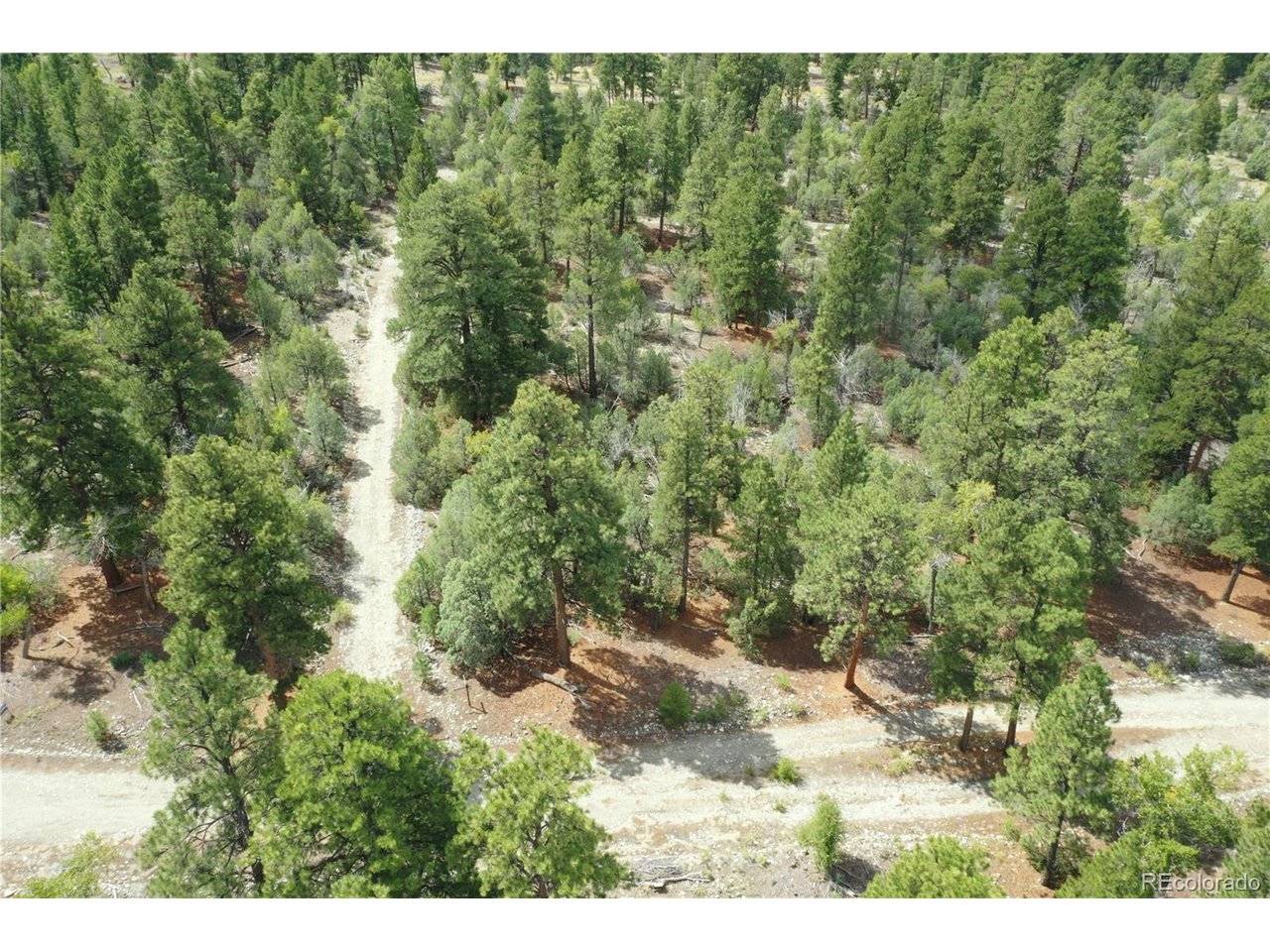 Big Bear, Mosca, CO 81146