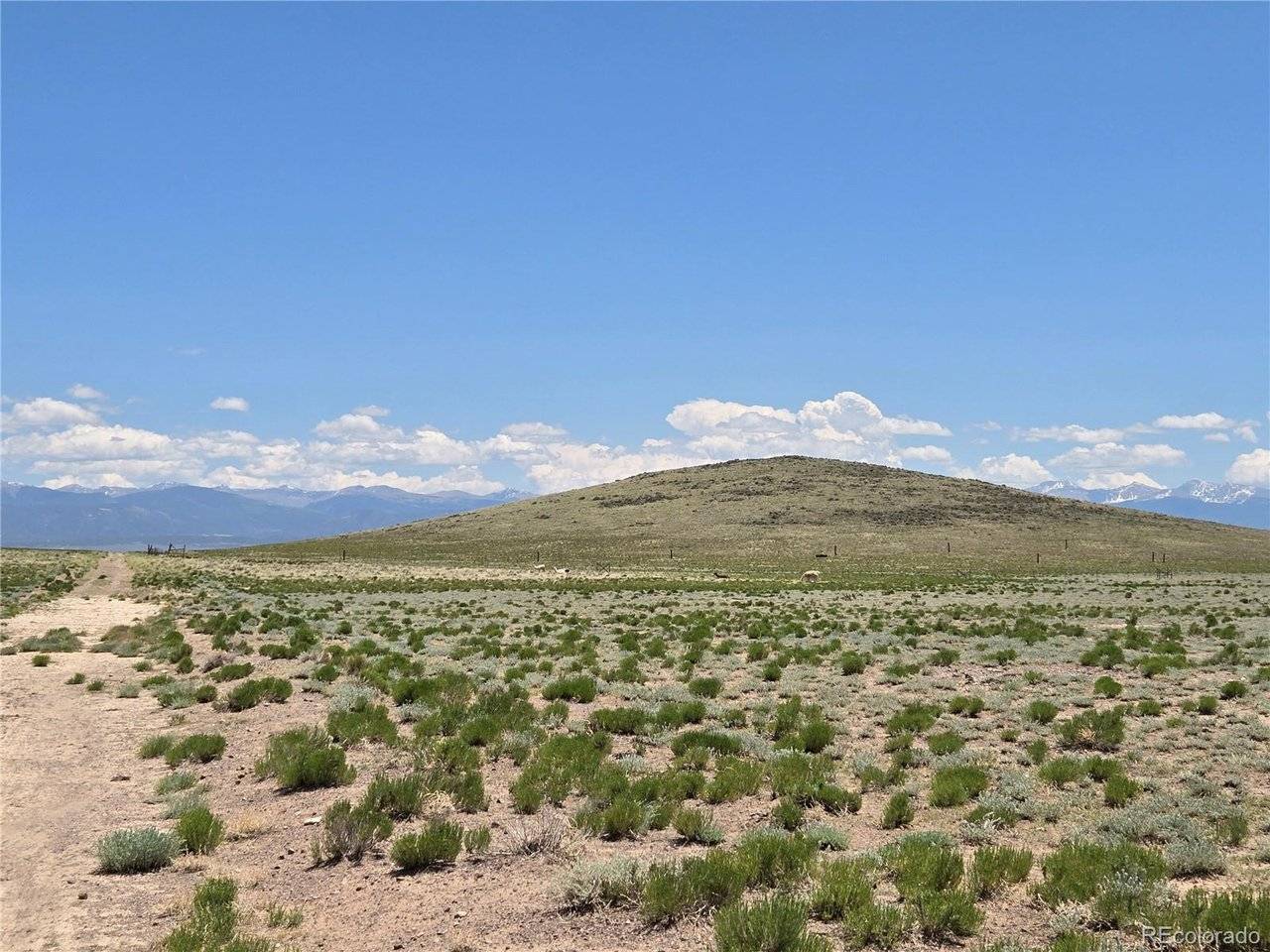 South 2nd Street Lot 7, Blanca, CO 81133